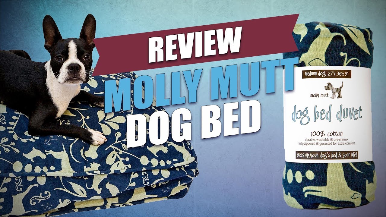 The Molly Mutt Dog Bed Review Most Versatile Cheap Bed For Dogs