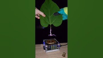 ♻️ Green energy vs wireless electricity #teslacoil #experiment #leaf #plant