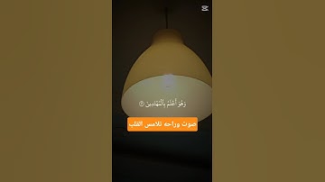 #ياسر_الدوسري #قرآن #تلاوة_خاشعة #quran #quotes #اكسبلور #explore #متابعه #لايك