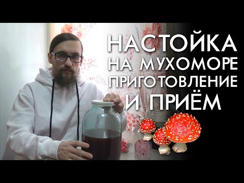 НАСТОЙКА НА МУХОМОРЕ / ПРИГОТОВЛЕНИЕ И ПРИЕМ / ЛЕЧЕБНОЕ МИКРОДОЗИРОВАНИЕ