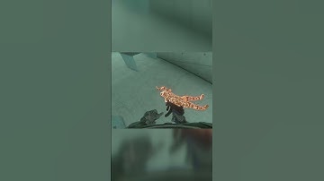 DOOM Slayer ONLY in Bonlabs Campaign Part 2 #shorts