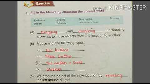 CLASS 2 | IT | CHAPTER 5 | MOUSE AND INPUT DEVICE | PART 2