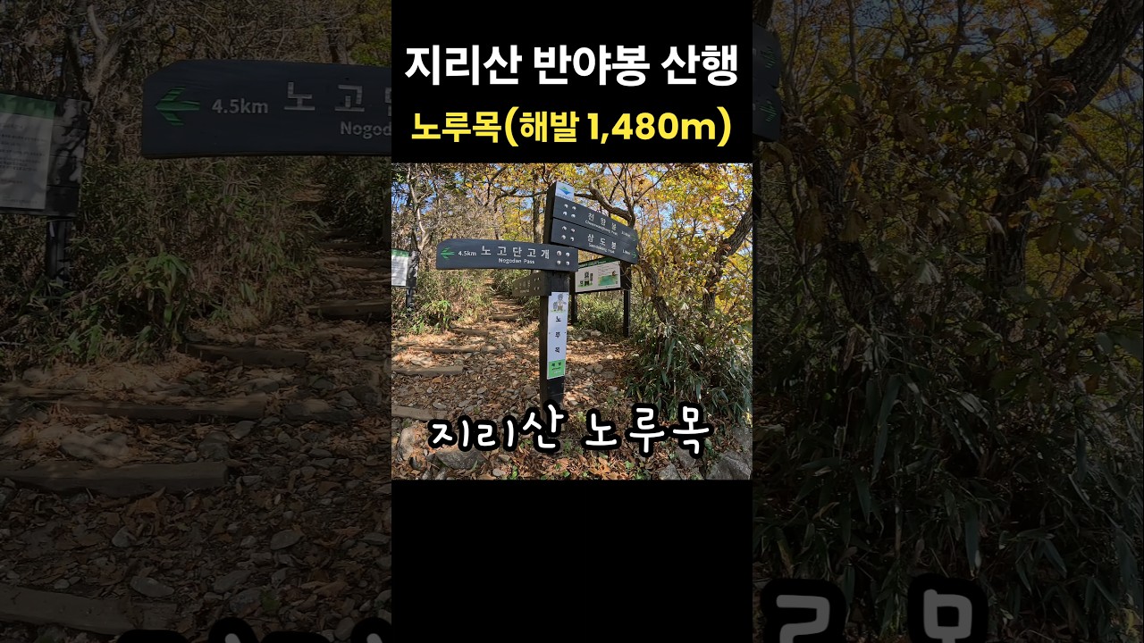 지리산 노루목 이야기 🦌