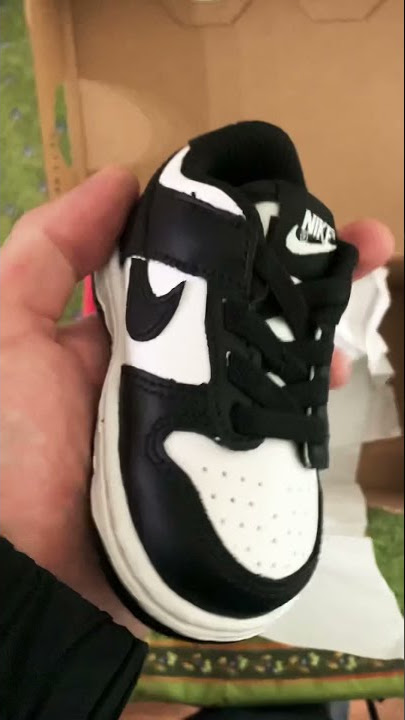 Nike Dunk Low Panda (TDE) in hand!