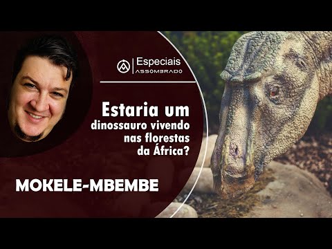 Vídeo: Um Estranho Caso De Observação De Um Dinossauro Vivo No Extremo Norte - Visão Alternativa