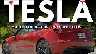 Model 3 Ludicrous Spotted UP CLOSE