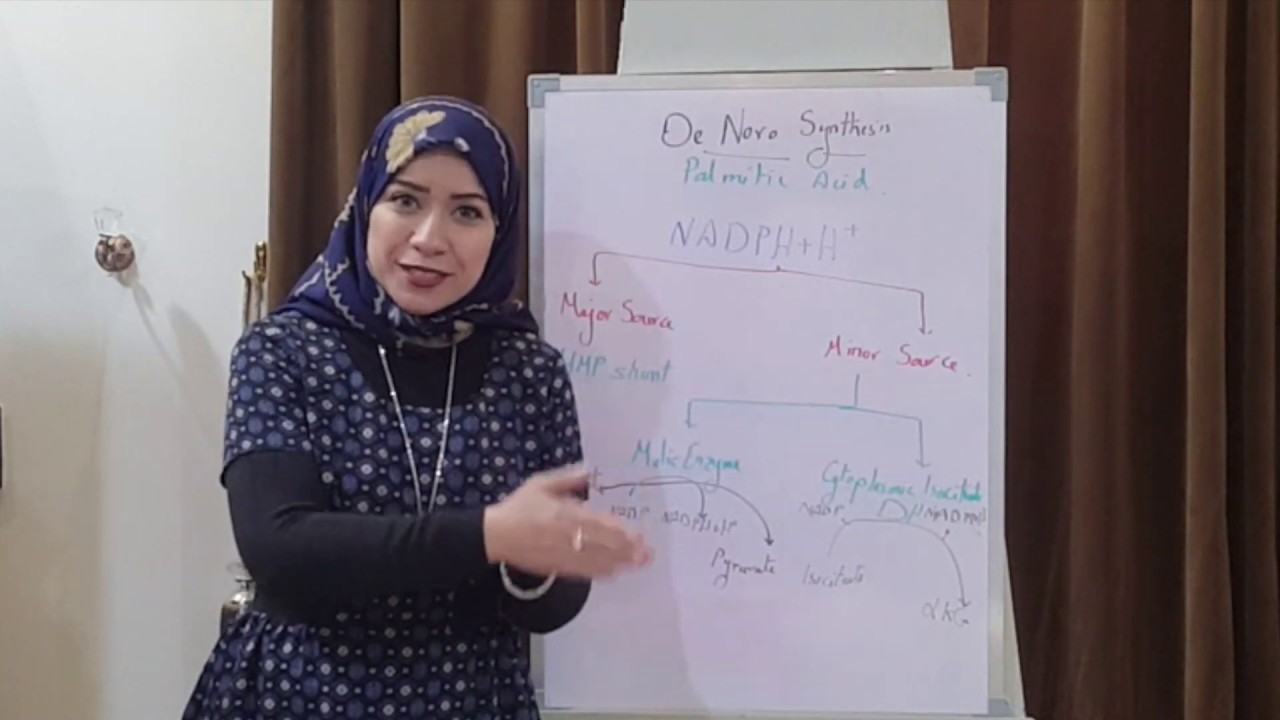 (LIPID METABOLISM Biochemistry Session 3)Lipogenesis part1