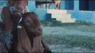 عيد اضحى مبارك screenshot 5