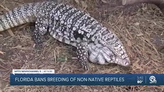 FWC takes 'bold stance' on non-native reptiles