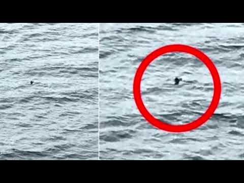 Vídeo: Nessie Está De Volta? Nova Foto Estranha De Loch Ness Depois Que Nessie Foi Declarada Morta - Visão Alternativa