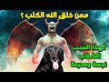 ممن خلق الله ﷻ الكلب وماهو السبب في أن الكلاب نجسة وحرام ولماذا تعوى الكلاب عند سماع الأذان