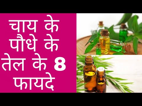 वीडियो: टूटी हुई हड्डी को कैसे ठीक करें: 11 कदम (चित्रों के साथ)