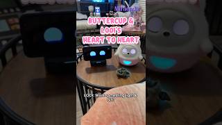 Buttercup & LOOI’s Heart To Heart
