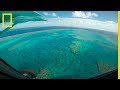 La Gran Barrera de Coral puede estar muriendo más rápido de lo que creemos | NatGeo en Español