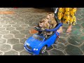 Wow Family Monkey Dodo Drive Car To Visit Outside