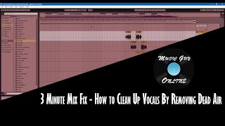 How to Clean Up Vocals By Removing Dead Air - 3 Minute Mix Fix