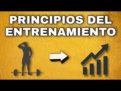 Vídeo: Ejercicios Zass: Tipos Y Principios Del Sistema De Entrenamiento