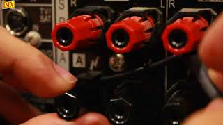 How to connect Amplifier & Speakers using Y Connector