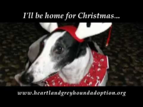 heartland greyhound rescue