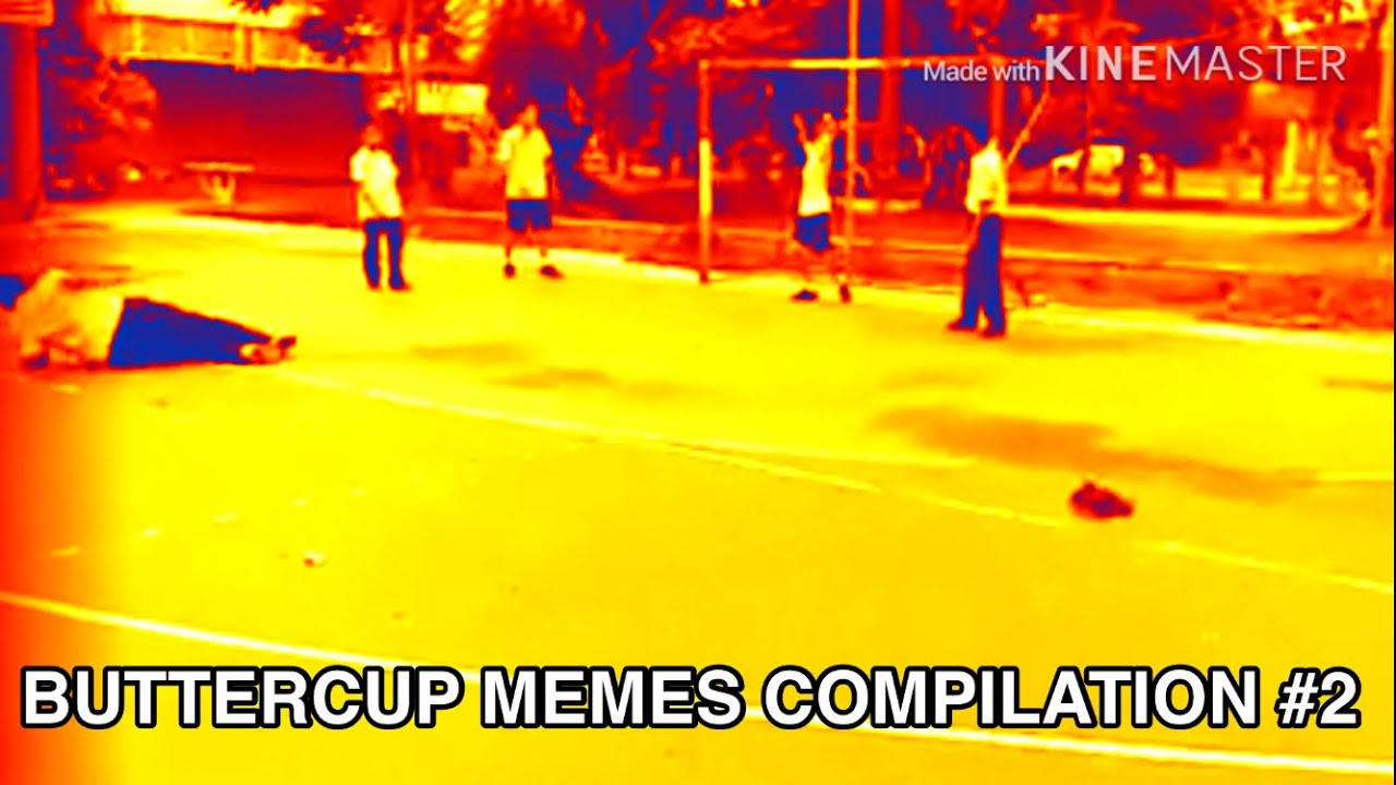 BUTTERCUP MEMES COMPILATION 2 YouTube