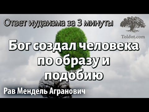 Бог создал человека по образу и подобию…  Ответ иудаизма за 3 минуты. Рав Мендель Агранович