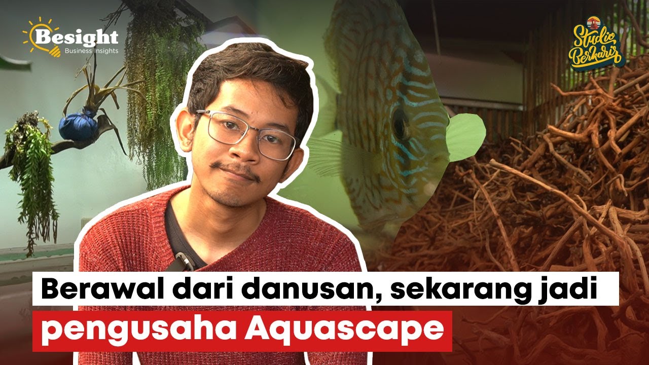 Besight eps. 1 # | BISNIS AQUASCAPE YANG MENJANJIKAN