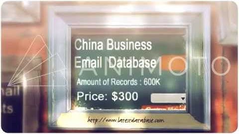 Email Mailing Lists Provider   latestdatabase com