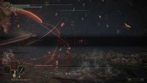 Malenia has plot armor