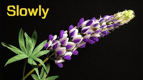 ABC TV | How To Make Lupinus Paper Flower From Crepe Paper (Slowly) - Craft Tutorial