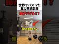 世界でバズった重力無視部屋