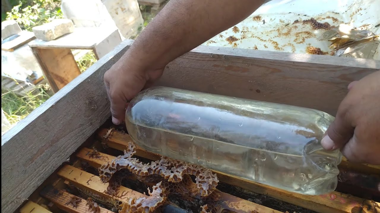 ПЧЕЛОВОДСТВО | ДРУГОЙ СПОСОБ ПОКАЗАНИЯ ПЧЕЛ. (Как кормить медоносную пчелу?) Видео о пчеловодстве.