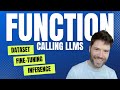 Function calling datasets training and inference