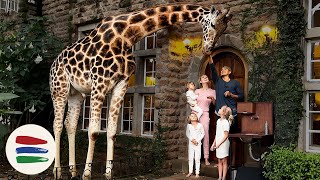 Waking Up at the GIRAFFE MANOR. Our Morning Breakfast Routine.