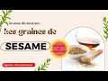 Les graines de sesame petites mais remplies de bienfaits essentiels pour la sant