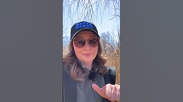 Engineered Wetland Explained