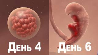 Idle 9 Months — Реалистичная игра про развитие ребёнка в утробе матери screenshot 4