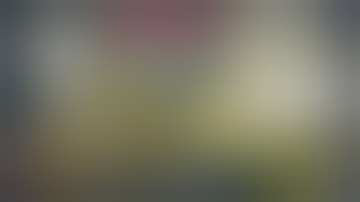 WINNER TO PLAYOFFS! TheMongolz vs G2 - Official Highlights - BLAST Austin Major 2025 Stage 3