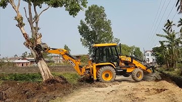 JCB VS TREE - JCB Backhoe Pushing Down Trees For Road Construction - JCB Earth Movers Power