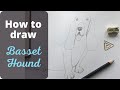 LEARN TO DRAW a Bassett Hound - Easy line drawing lesson to teach to kids | Colour Wheel Arts