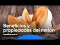 Beneficios y Propiedades Nutricionales del Melón -  Mañanas Públicas