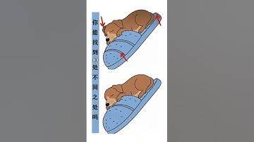 Can you find the three differences in these two pictures in 5 seconds? I never thought it would #58