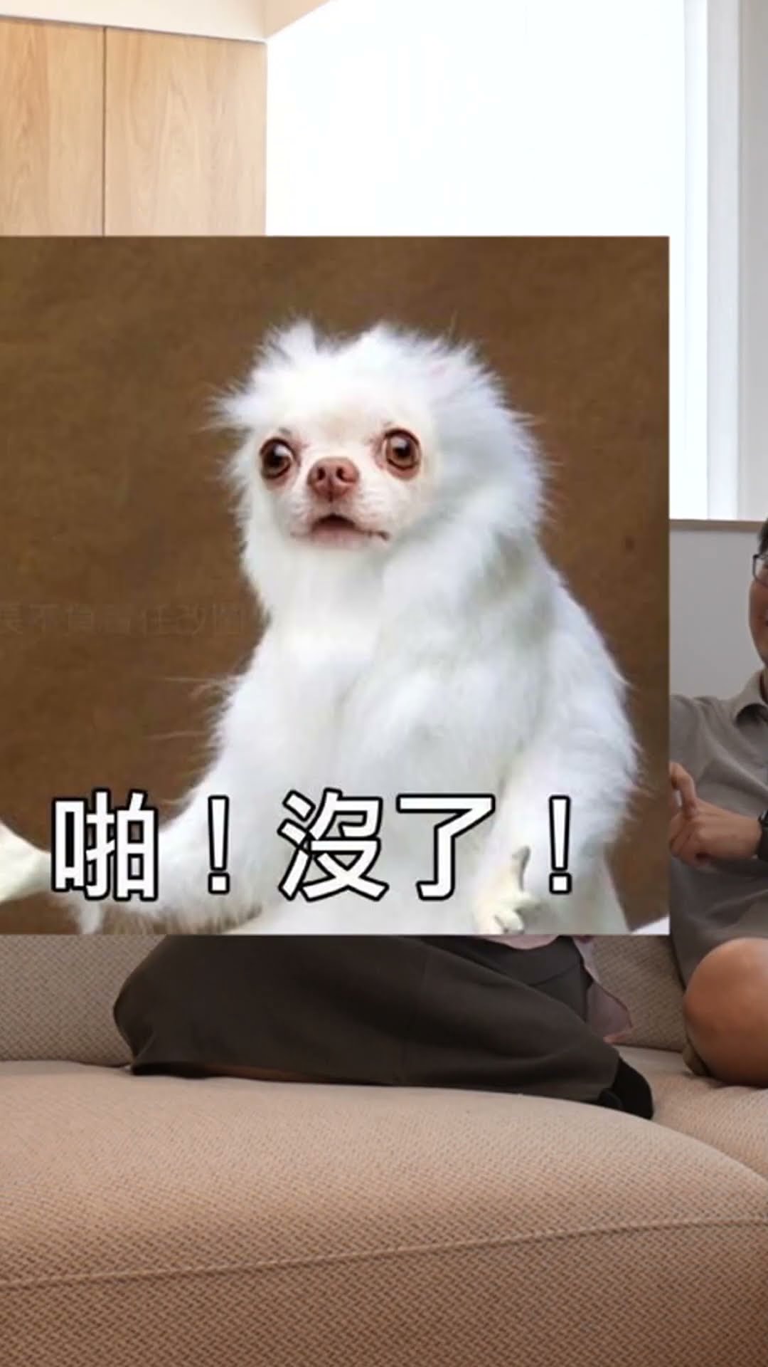 【買房故事】你也遇到這樣的代銷嗎？你要的戶型沒了？#shorts #新手買房#首購族