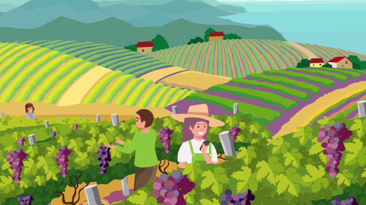 VISCA: Supporting Farmers in Climate Change Adaptation