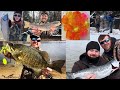 How To Fish Muddy Water For Salmon and Steelhead Egg Cure + Tzach Rod Bass Fishing Arctic Spinners!