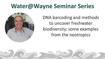 DNA barcoding and methods to uncover freshwater biodiversity: some examples from the neotropics