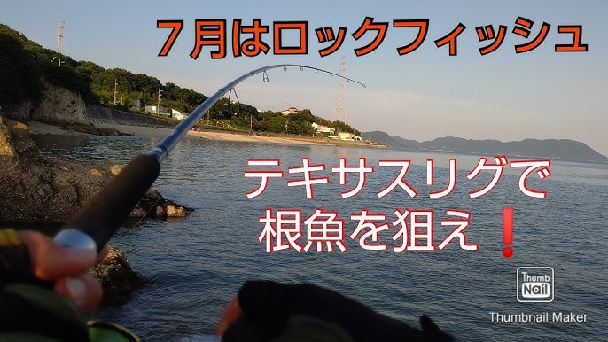 7月の ロックフィッシュ テキサスリグで根魚を狙え ロックフィッシュ テキサスリグ アコウ キジハタ Youtube 7月の ロックフィッシュ テキサスリグで根魚を狙え ロックフィッシュ テキサスリグ アコウ キジハタ Youtube