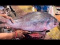 Amazing cutting skills  giant katla fish cutting by expert fish cutter