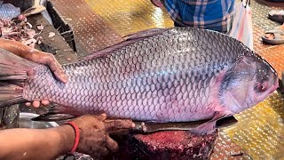 Amazing Cutting Skills | Giant Katla Fish Cutting By Expert Fish Cutter