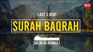 Last 3 ayat of Surah Baqrah । Recited By Salim Al-Ruwaili । best free recitation । BFR।