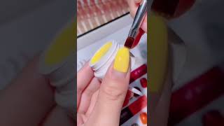 Vettsy Solid Gel Polish Net Worth